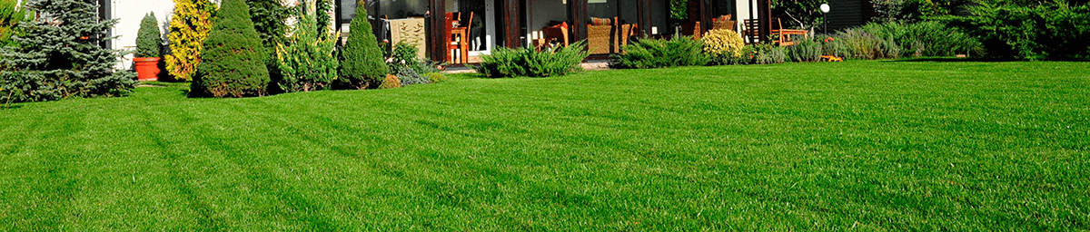 An image of a residential lawn