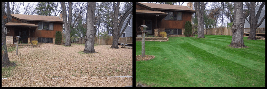 A before and after fall clean up image